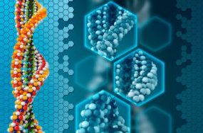 تکثیر و تولید DNA
