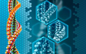 تکثیر و تولید DNA