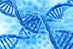 تکثیر و تولید DNA