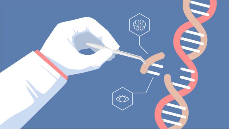 چگونگی انجام آزمایشات DNA
