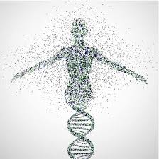 چگونگی انجام آزمایشات DNA  
